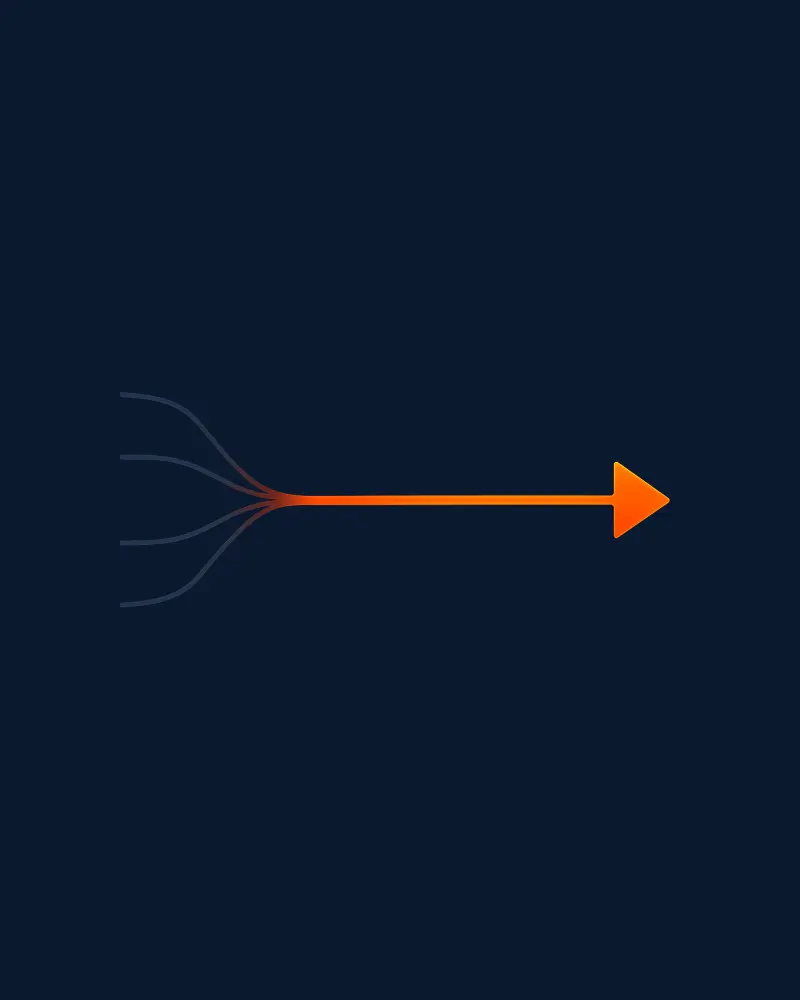 clear path forward through complexity